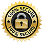 100% secure website