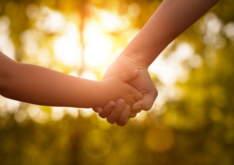 Parent holding child's hand